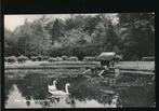 Epe - Vijver plantsoentje [KRST009-2278, Verzamelen, Verzenden, 1940 tot 1960, Gelopen, Gelderland