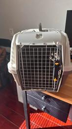Transportbox kat/kleine hond, Dieren en Toebehoren, Ophalen, Zo goed als nieuw