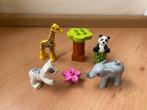 Duplo, babydieren: olifant panda giraffe tijger, set 10904, Ophalen of Verzenden, Gebruikt, Complete set, Duplo