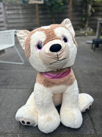 Grote hond knuffel beschikbaar voor biedingen