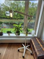 Luxo Lamp met rolstatief, Ophalen, Zo goed als nieuw, Loeplamp