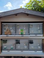 MOOIE VOGELKOOI/BROEDKOOIEN TE KOOP!, Dieren en Toebehoren, Vogels | Hokken en Kooien, Ophalen, Gebruikt, Hout, Broedkooi of Kweekkooi