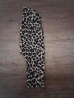 Nieuwe baby broekjes maat 56, prijs 7.50 euro, Kinderen en Baby's, Babykleding | Maat 56, Ophalen of Verzenden, Nieuw, Jongetje of Meisje