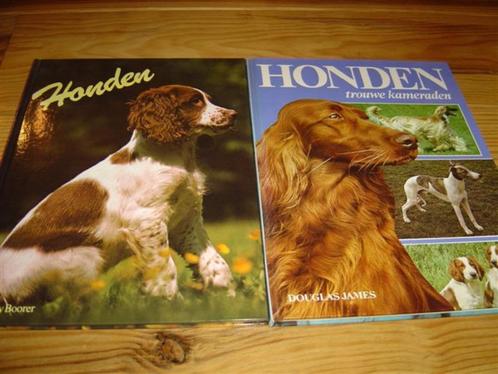 Te koop : 2 boeken over honden met schitterende grote foto's, Boeken, Dieren en Huisdieren, Zo goed als nieuw, Honden, Ophalen of Verzenden