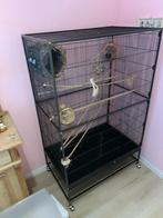 Grote vogelkooi, voliere., Dieren en Toebehoren, Ophalen, Zo goed als nieuw, Metaal, Vogelkooi