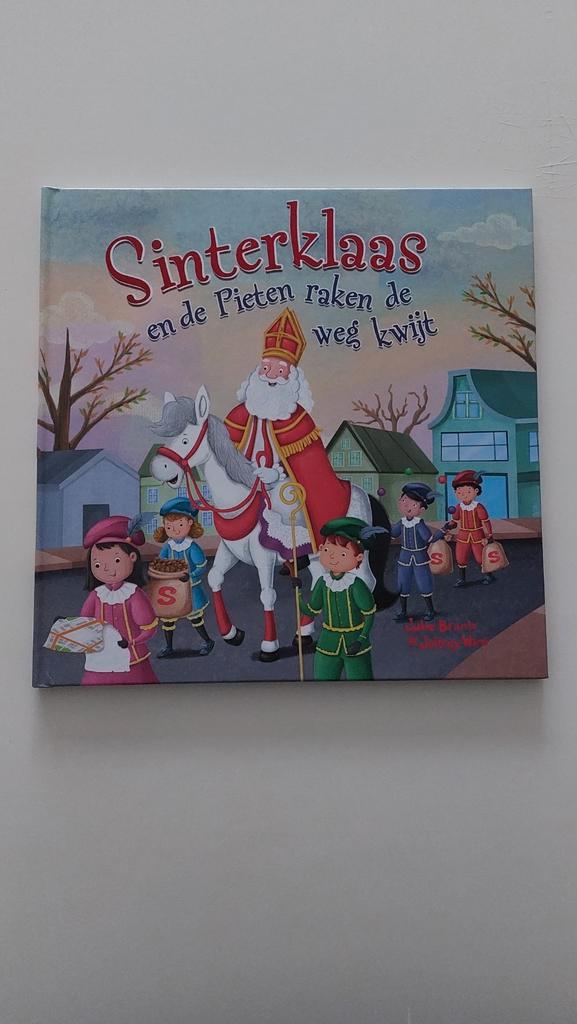 Sinterklaas voorleesboek, Boeken, Kinderboeken | Jeugd | onder 10 jaar, Zo goed als nieuw, Fictie algemeen, Ophalen of Verzenden
