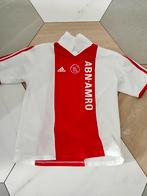 Ajax shirt seizoen 2000/2001 thuis shirt junior maat 164, Sport en Fitness, Voetbal, Maat XS of kleiner, Ophalen of Verzenden