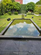 Vijverrand, Tuin en Terras, Vijvers, Ophalen of Verzenden