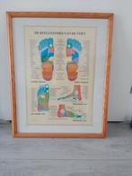Voetreflexmassage poster in lijst, Ophalen