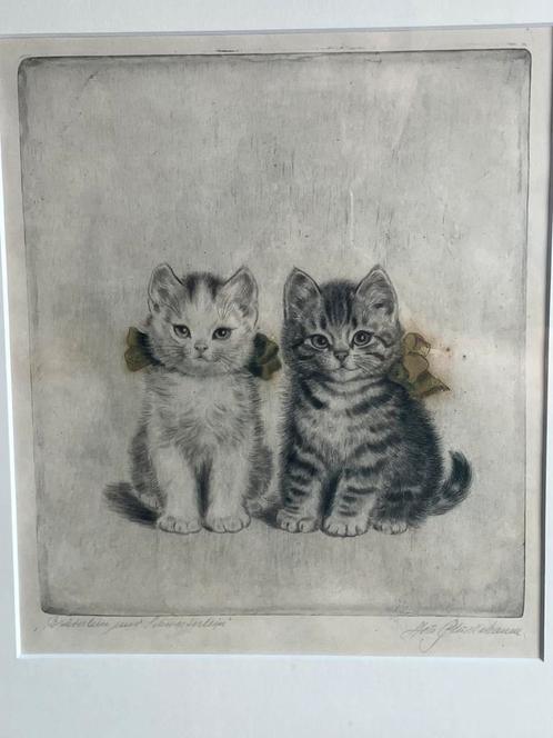 Twee kittens, Meta Pluckebaum-Weber (1876-1954), Antiek en Kunst, Kunst | Tekeningen en Foto's, Ophalen of Verzenden