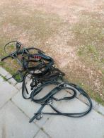 Te koop, Dieren en Toebehoren, Paarden en Pony's | Hoofdstellen en Tuigage, Ophalen, Nieuw, Overige soorten