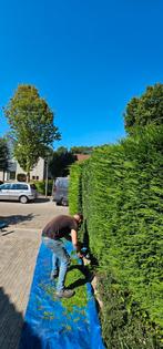 Tuinman, Diensten en Vakmensen, Tuinmannen en Stratenmakers, Garantie, Tuinontwerp