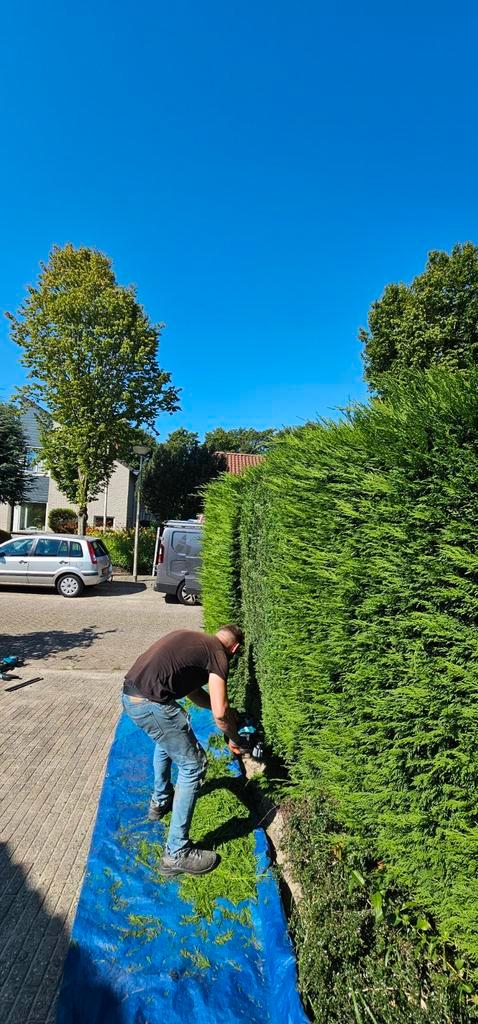 Tuinman, Diensten en Vakmensen, Tuinmannen en Stratenmakers, Bestrating, Hekwerk of Schuttingen, Tuin- of Vijveraanleg, Tuinonderhoud of Snoeiwerk