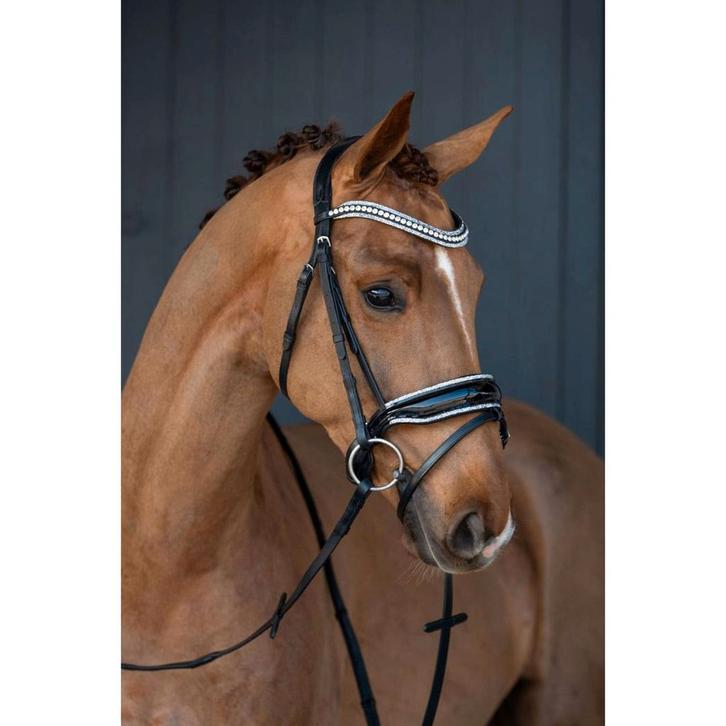 Hoofdstel con HB SHOWTIME IT'S SO SPECIAL, Dieren en Toebehoren, Paarden en Pony's | Hoofdstellen en Tuigage, Nieuw, Dressuur