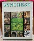 Synthese Zuid-Limburg - DSM Heerlen 📔, Ophalen of Verzenden, Gelezen, Limburg