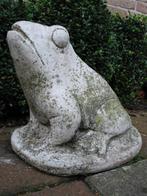 tuinbeeld kikker, Tuin en Terras, Tuinbeelden, Ophalen, Gebruikt, Beton, Dierenbeeld