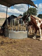 Hooi ruif met afdak paarden ponnys, Dieren en Toebehoren, Paarden en Pony's | Overige Paardenspullen, Ophalen, Gebruikt, Overige soorten