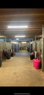 Pension stalling / vol pension, Dieren en Toebehoren, Stalling en Weidegang, Stalling