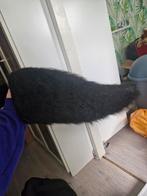 Mq hypermotion tail, Ophalen of Verzenden, Zo goed als nieuw, Accessoires