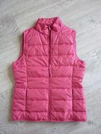 Bodywarmer maat S Nieuw, Kleding | Dames, Bodywarmers, Nieuw, Ophalen of Verzenden, Roze, Maat 36 (S)