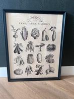 Poster - Lijst “Groenten” NIEUW!, Overige materialen, Minder dan 50 cm, 50 tot 75 cm, Nieuw