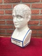 porseleinen studiemodel, frenologie, Ophalen of Verzenden