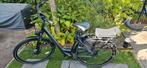 Pegasus Siena, frame 50, Fietsen en Brommers, Fietsen | Dames | Moederfietsen, Gebruikt, 50 tot 53 cm, Dubbele standaard, 1 zitje