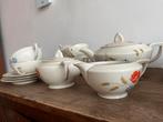 Prachtig theeservies uit Tsjechoslowakije, zelden gebruikt., Antiek en Kunst, Antiek | Servies compleet, Ophalen