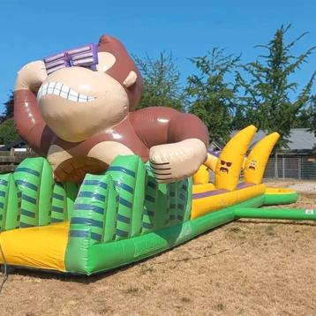 Buikschuifbaan Aap - Nette Staat, Compleet! beschikbaar voor biedingen