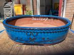 Bonsaischaal blauw, Tuin en Terras, Bloembakken en Plantenbakken, Steen, Minder dan 30 cm, Minder dan 60 cm, Rond