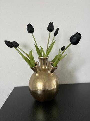 Diga Colmore vaas Toetervaas / tulpenvaas goud Nieuw! beschikbaar voor biedingen