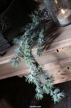 Jeneverbes tak hanger Jeneverbes tak hanger, Www.jufbrocante.nl, Www.jufbrocante.nl, Nieuw, Ophalen of Verzenden