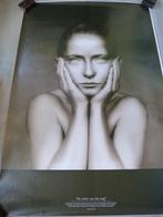 Desiree Dolron "Silence of the Eye" - 3 fraaie posters, Verzenden, Zo goed als nieuw