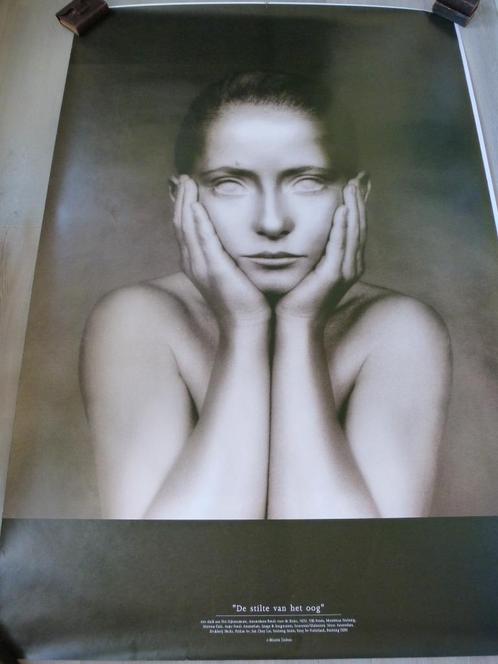 Desiree Dolron "Silence of the Eye" - 3 fraaie posters, Verzamelen, Overige Verzamelen, Zo goed als nieuw, Verzenden