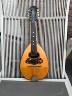 Antieke Napolitaanse Mandoline, Muziek en Instrumenten, Ophalen, Gebruikt
