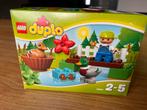 Lego duplo bos eenden 10581, Kinderen en Baby's, Speelgoed | Duplo en Lego, Ophalen of Verzenden, Gebruikt, Duplo