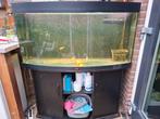Aquarium, Dieren en Toebehoren, Ophalen, Gebruikt, Overige typen