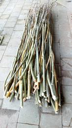 Bonenstaken ongeveer 3 meter lang, 60 stuks in 1 koop, Ophalen