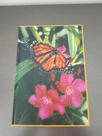 Notitieboek vlinder blanco / tekenboek, Ophalen of Verzenden, Zo goed als nieuw