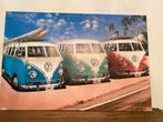 Schilderij Oude Volkswagen Busjes - Perfecte Staat, Ophalen of Verzenden, Nieuw