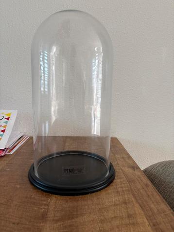PTMD glazen Stolp - Decoratief en Stijlvol beschikbaar voor biedingen