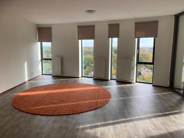 MOET WEG 13 nov.! Zeil / Vinyl. Grote coupons, ca. 35 m2. beschikbaar voor biedingen