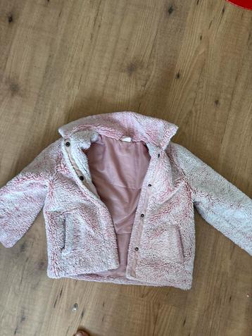 Roze Teddy Jasje Hema Maat 110/116 beschikbaar voor biedingen
