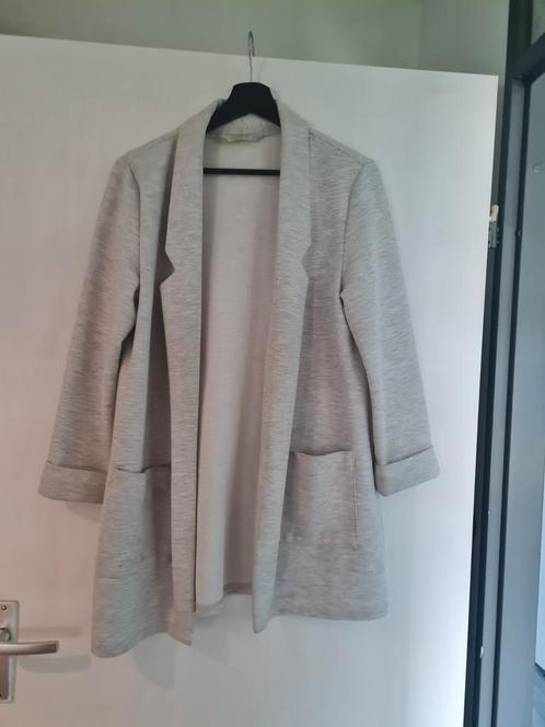 Lang vest licht grijs, Kleding | Dames, Truien en Vesten, Gedragen, Grijs, Ophalen of Verzenden