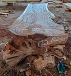 SUAR WATERVAL TAFEL - BOOG TAFELS - BOOMSTAM TAFELS, Doe-het-zelf en Verbouw, Hout en Planken, Gebruikt, Verzenden, Plank, Overige houtsoorten