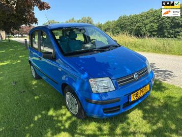 Fiat Panda 1.2 Dynamic beschikbaar voor biedingen