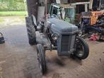 Ferguson ted 20, Ophalen, Tot 2500, Oldtimer, Tot 80 Pk
