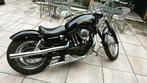 Sportster 1100 (uniek!), Particulier, 2 cilinders, Chopper