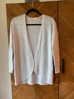 Zgan- Prachtig Vest van H&M. Maat 146/152, Meisje, Trui of Vest, H&M, Ophalen of Verzenden