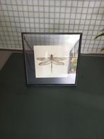 Lijstje, Huis en Inrichting, Woonaccessoires | Lijsten, Ophalen, Zo goed als nieuw, Minder dan 50 cm, Minder dan 50 cm